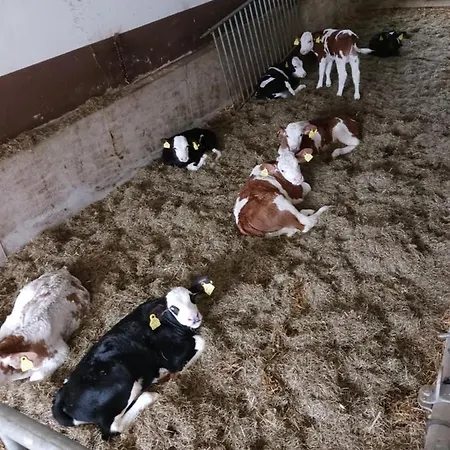 شقة Eder هوشفيلزن